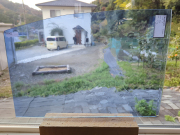 ＃962 フリモントグラス F-320　1/4カット可