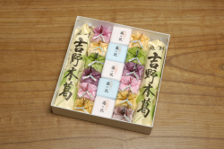 吉野本葛180ｇ×2本　葛の花（葛湯）10個　代々の友（葛湯）12個