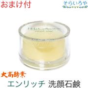 大高酵素 エンリッチソープ 100g(ケース付) （枠練り石けん）