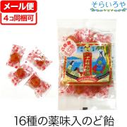 定期購入】ショウキT-1 プラス 30袋 タンポポ茶 特典付
