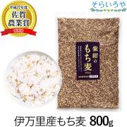 もち麦 国産 (佐賀県産) 「紫紺のもち麦」800g 令和6年産 紫もち麦 ダイシモチ100% ダイエット