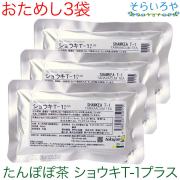 タンポポ茶 ショウキT－1プラス お試し3袋 送料無料 メール便