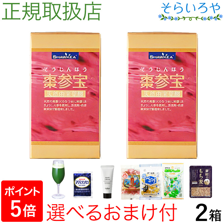 棗参宝 そうじんほう 100粒×2箱 棗（なつめ）の鉄分＋阿膠（コラーゲン） 徳潤