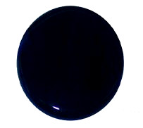 ノーススターロッドNS-121ブルーネブラ(単位:本)