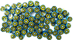モレッティ カットミルフィオリ 64# 約10ｇ入り (単位:袋)
