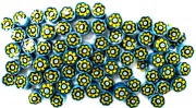 モレッティ カットミルフィオリ 64# 約10ｇ入り (単位:袋)