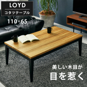 ロイド1165_01