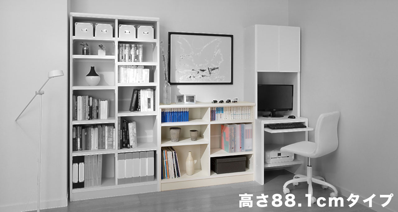 �磻�ɥ���������ê