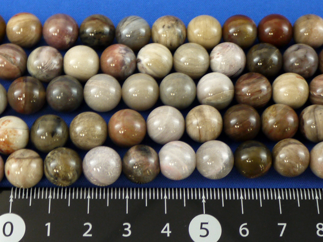 木化石　10ミリ　