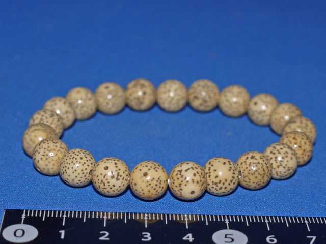 星月菩提樹　10ミリ玉ブレスレット