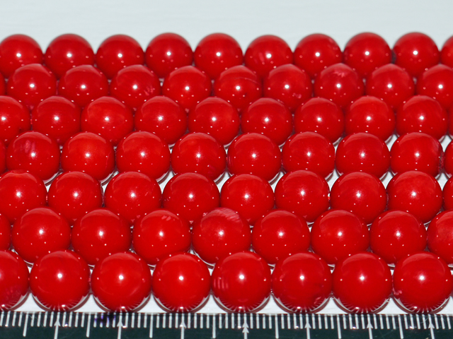 珊瑚（コーラル）レッド 染め　10ミリ　【定形外可】【bz-coral-red-10】
