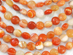 カーネリアン マルチカラー　ボタン型　10×6ミリ　【bz-carnelmulti-button106】【定型外可】