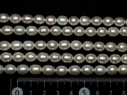 淡水パール(白）　9ミリ×7ミリ