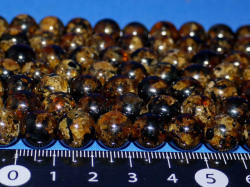 虎琥珀　10ミリ