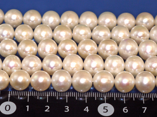 淡水パール(白）　12ミリ×10ミリ
