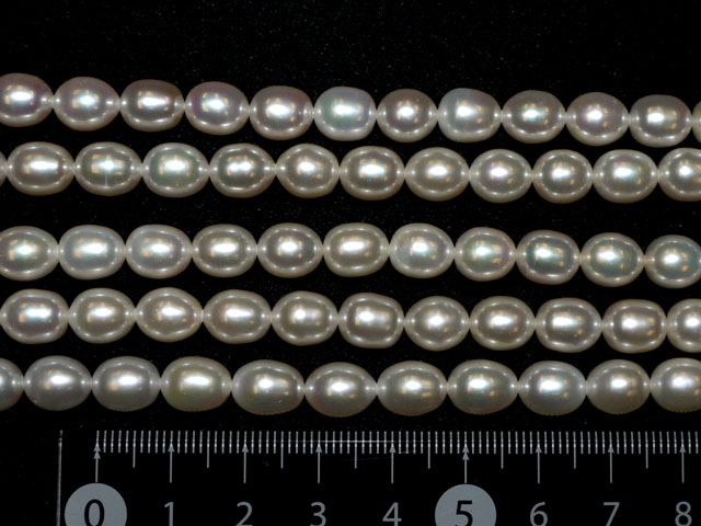 淡水パール(白）　9ミリ×7ミリ
