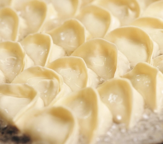 博多一口餃子の発祥店 宝雲亭15個入り
