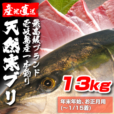 壱岐一本釣りブリ13k　(～1/15着）