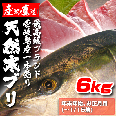 壱岐一本釣りブリ6k (～1/15着） 玄界灘壱岐島 七里ヶ曽根市場