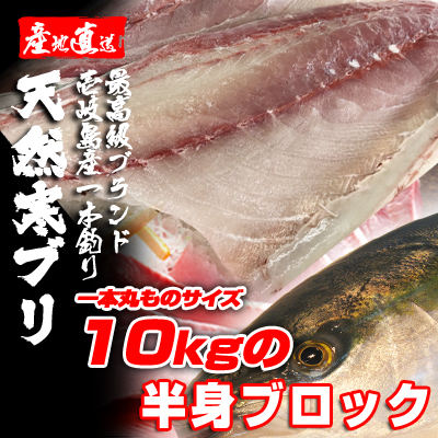 期間限定激安　壱岐一本釣りブリ（一本丸ものサイズ10キロ台の半身ブロック