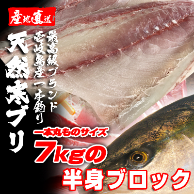 期間限定激安　壱岐一本釣りブリ（一本丸ものサイズ7キロ台の半身ブロック