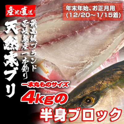 壱岐一本釣りブリ（一本丸ものサイズ4キロ台の半身ブロック★～1/15着★　