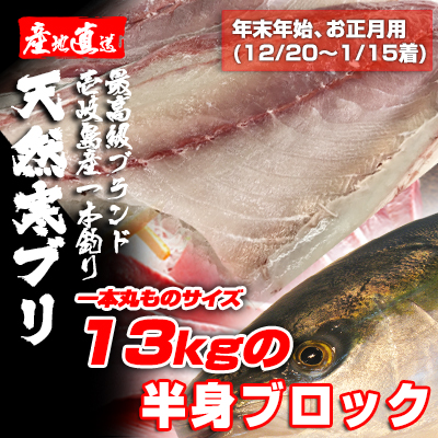 壱岐一本釣りブリ（一本丸ものサイズ13キロ台の半身ブロック★～1/15着★