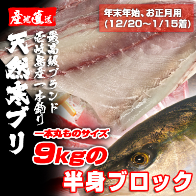 壱岐一本釣りブリ（一本丸ものサイズ9キロ台の半身ブロック☆～1/15着