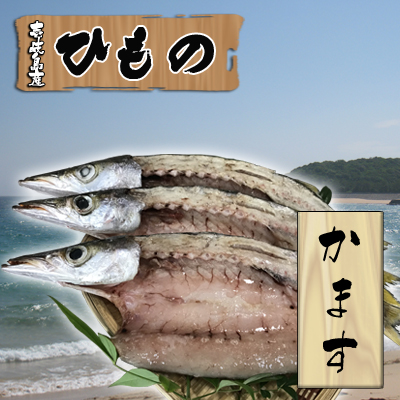 カマス塩干し