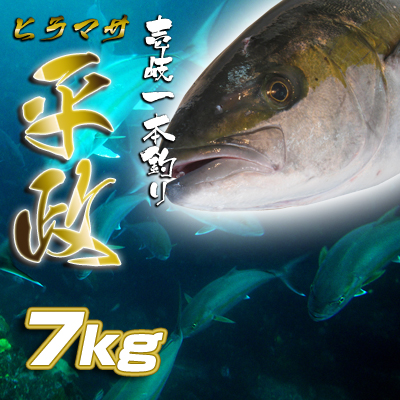 壱岐一本釣りヒラマサ7k　