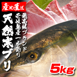 期間限定激安　壱岐一本釣りブリ5k