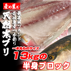 期間限定激安　壱岐一本釣りブリ（一本丸ものサイズ13キロ台の半身ブロック