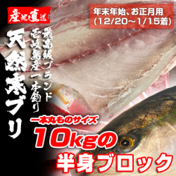 壱岐一本釣りブリ（一本丸ものサイズ10キロ台の半身ブロック★～1/15着★