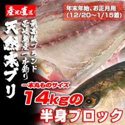 壱岐一本釣りブリ（一本丸ものサイズ14キロ台の半身ブロック★～1/15着★