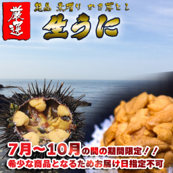 厳選国産生うに　100ｇ