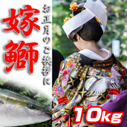嫁ぶり10k　（～1/15着）