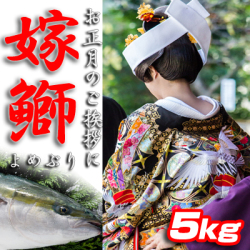 嫁ぶり5k　（～1/15着）