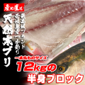 期間限定激安　壱岐一本釣りブリ（一本丸ものサイズ12キロ台の半身ブロック
