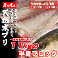 壱岐一本釣りブリ（一本丸ものサイズ11キロ台の半身ブロック★～1/15着★
