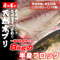 壱岐一本釣りブリ（一本丸ものサイズ8キロ台の半身ブロック★～1/15着★