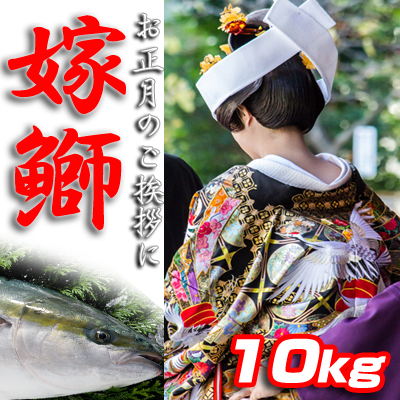 嫁ぶり10k　（～1/15着）