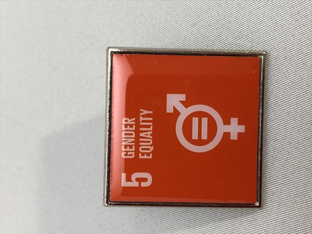 国際連合SDGｓピンバッジ各種