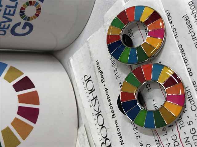 国際連合SDGｓピンバッジ各種