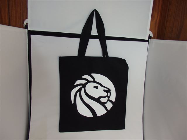 スノードーム K16・2019年8月サンノゼＮＹ