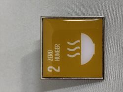 国際連合SDGｓピンバッジ各種