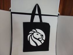 スノードーム K16・2019年8月サンノゼＮＹ