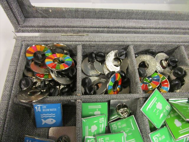 国際連合 ( United Nations 国連)（ニューヨーク）「持続可能な開発