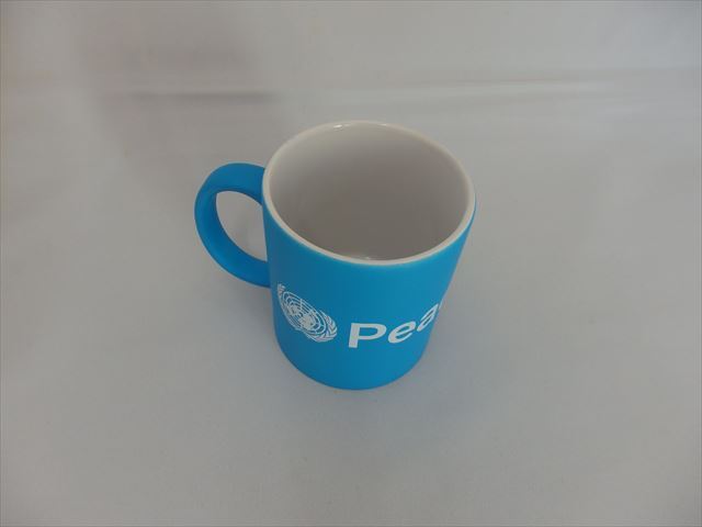 国際連合 ( United Nations 国連)国際連合平和維持活動（PKO