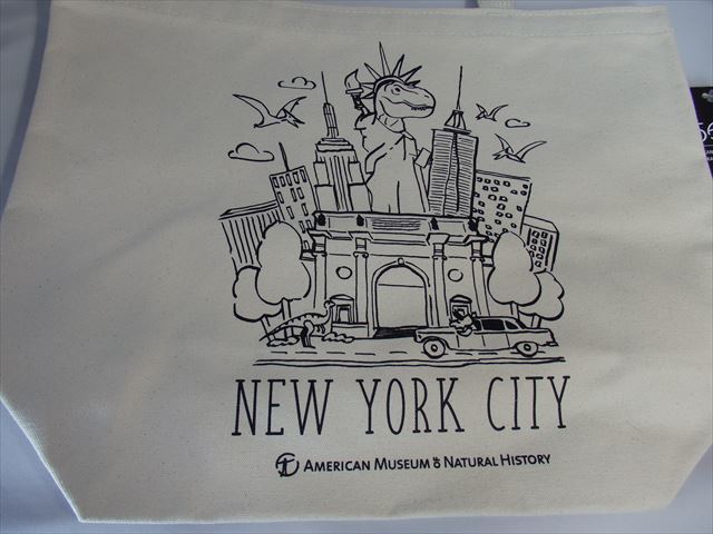 自然史博物館(American Museum of Natural History