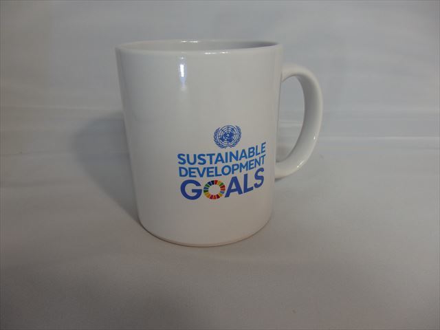 国際連合 ( United Nations 国連)（ニューヨーク）「持続可能な開発